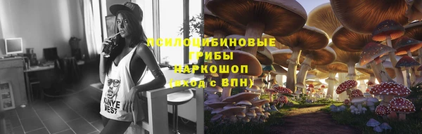 гидра Магас