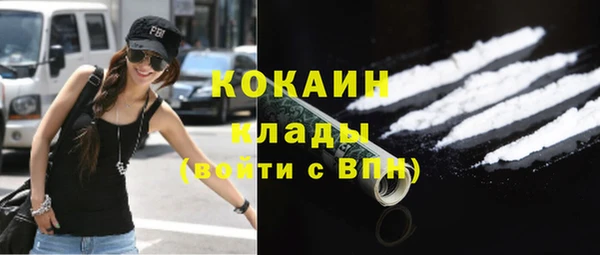 гидра Магас