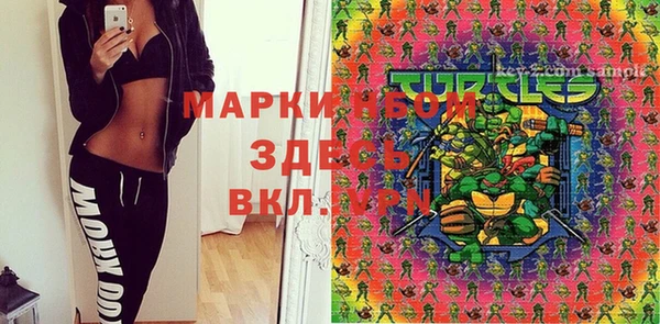 гидра Магас