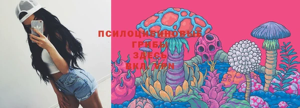МДПВ Магадан