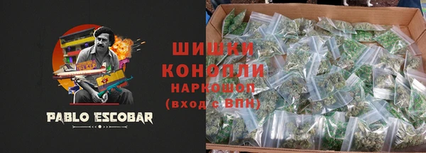 гидра Магас