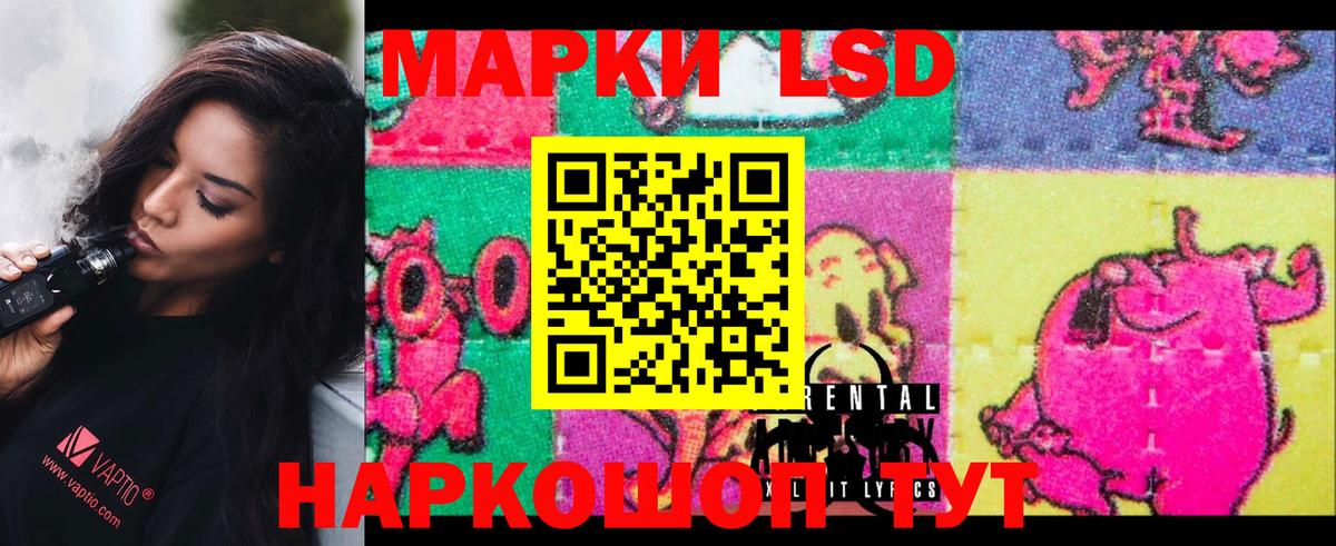 МЕГА ССЫЛКА  LSD-25 экстази кислота  ЛСД экстази кислота  Вход с VPN  Топки 