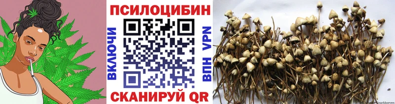 Галлюциногенные грибы мухоморы  мориарти официальный сайт  Топки 