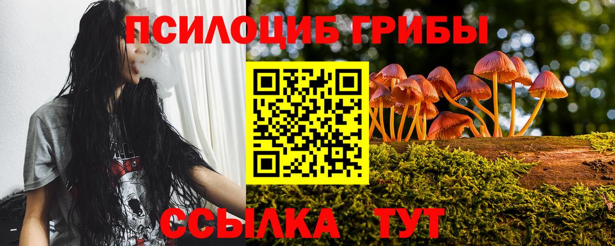 Псилоцибиновые грибы MAGIC MUSHROOMS  Топки 