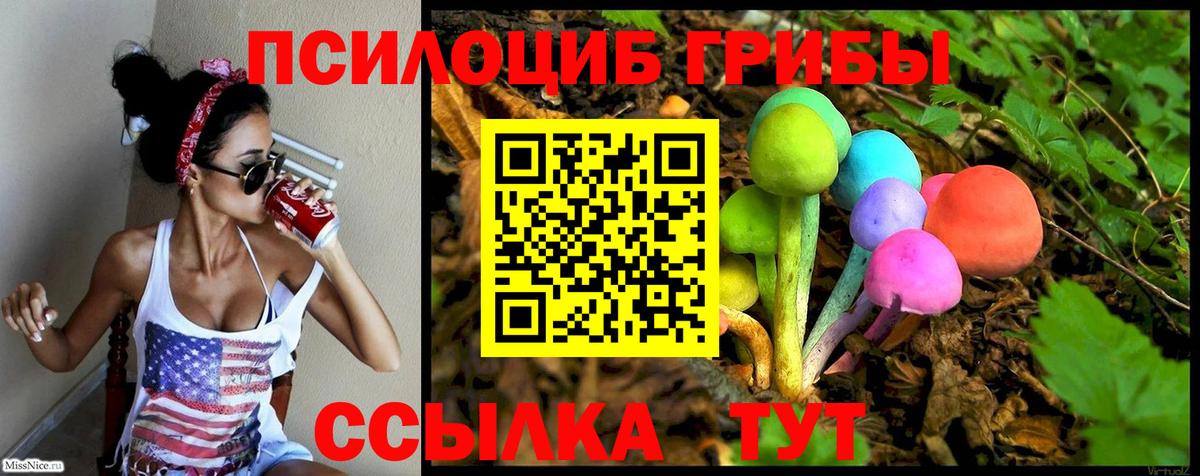 Топки  Псилоцибиновые грибы MAGIC MUSHROOMS  Вход с VPN  Псилоцибиновые грибы Cubensis 